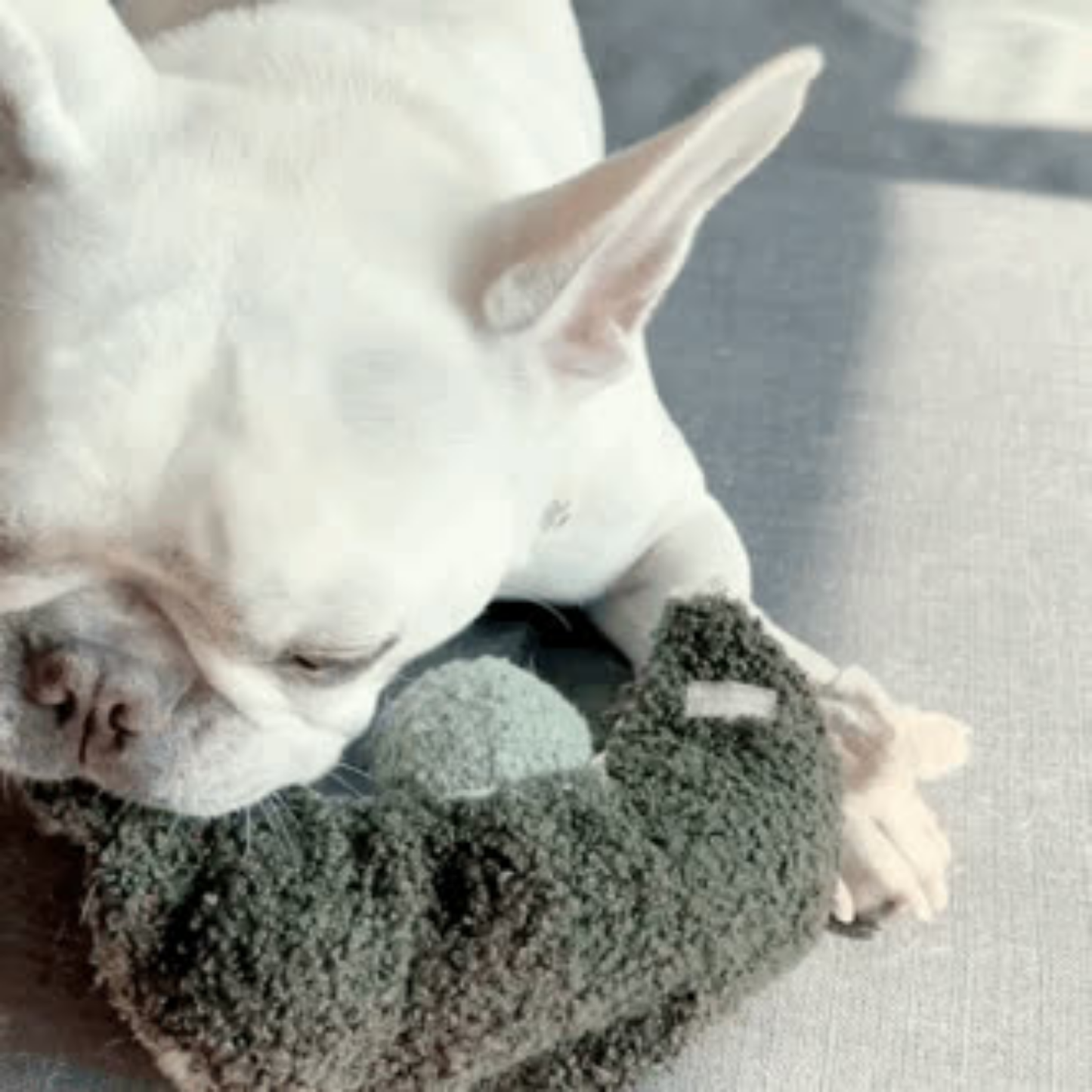 Gohobi x Lambwolf PEA POP // ENRICHMENT TOY // SNUFFLE TOY