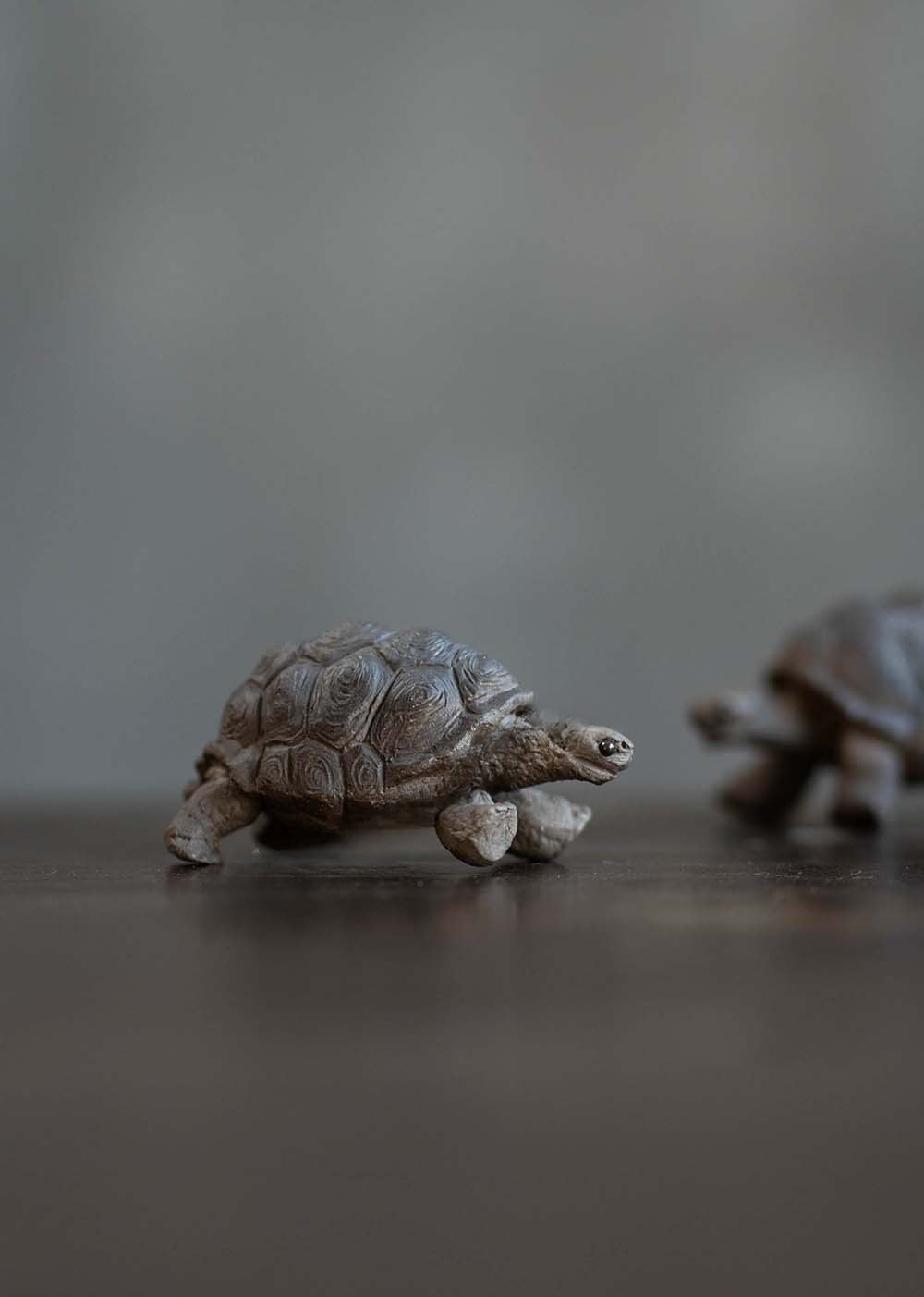 Gohobi Handmade Ceramic YiXing Clay Land Turtle Ornament Tea Pet