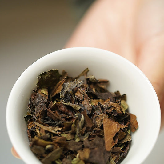 Gohobi Limited Edition Founder's Selection - White Tea 精選白茶