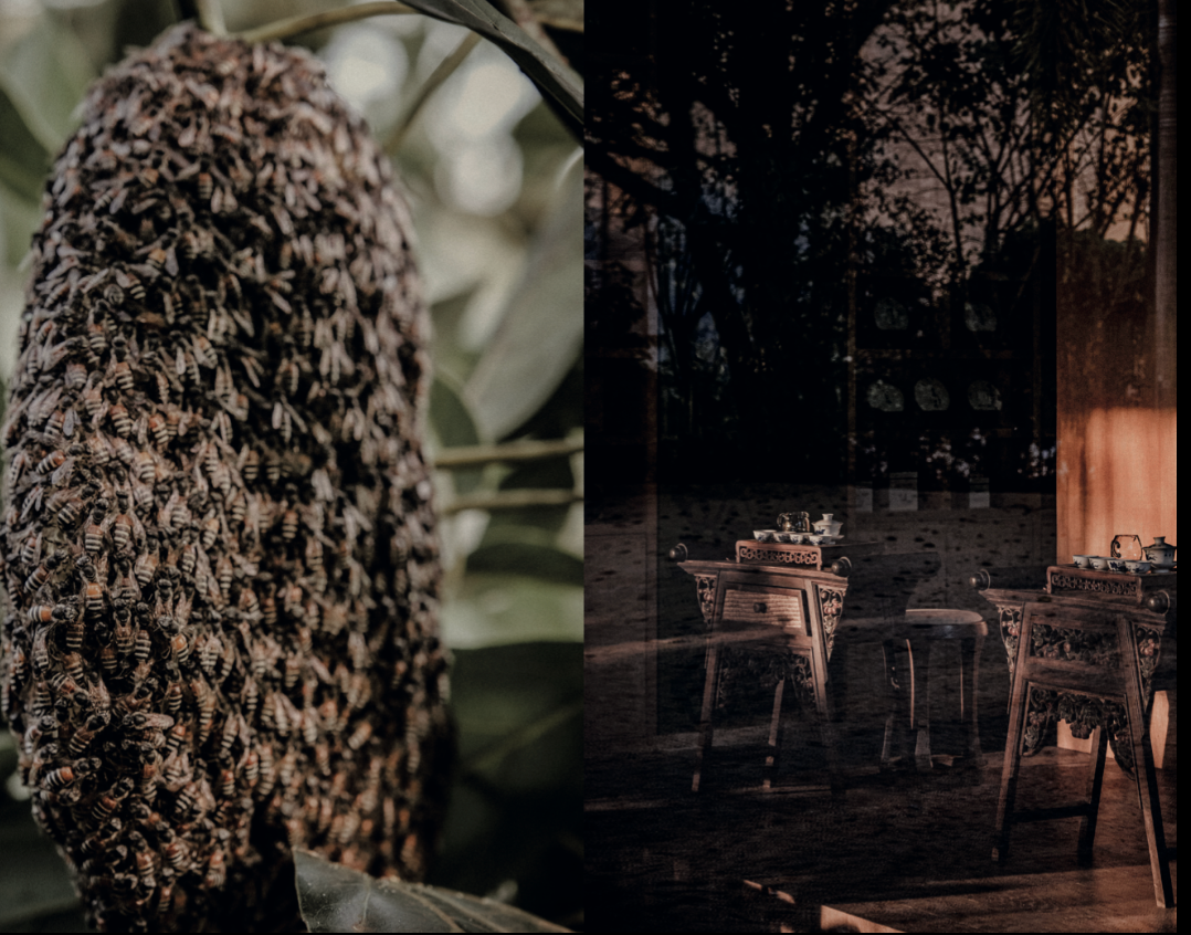 Eightyº - Eighty Degrees Tea Magazine Issue 16: Heat