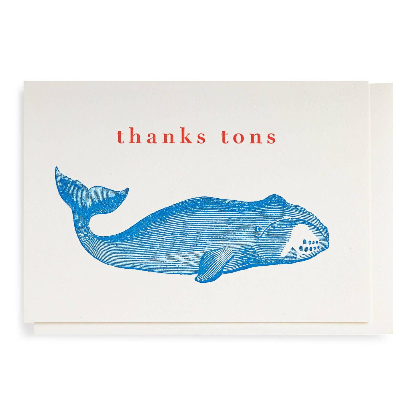 HereThe Thank You Whale | Letterpress Cards | Small Cards