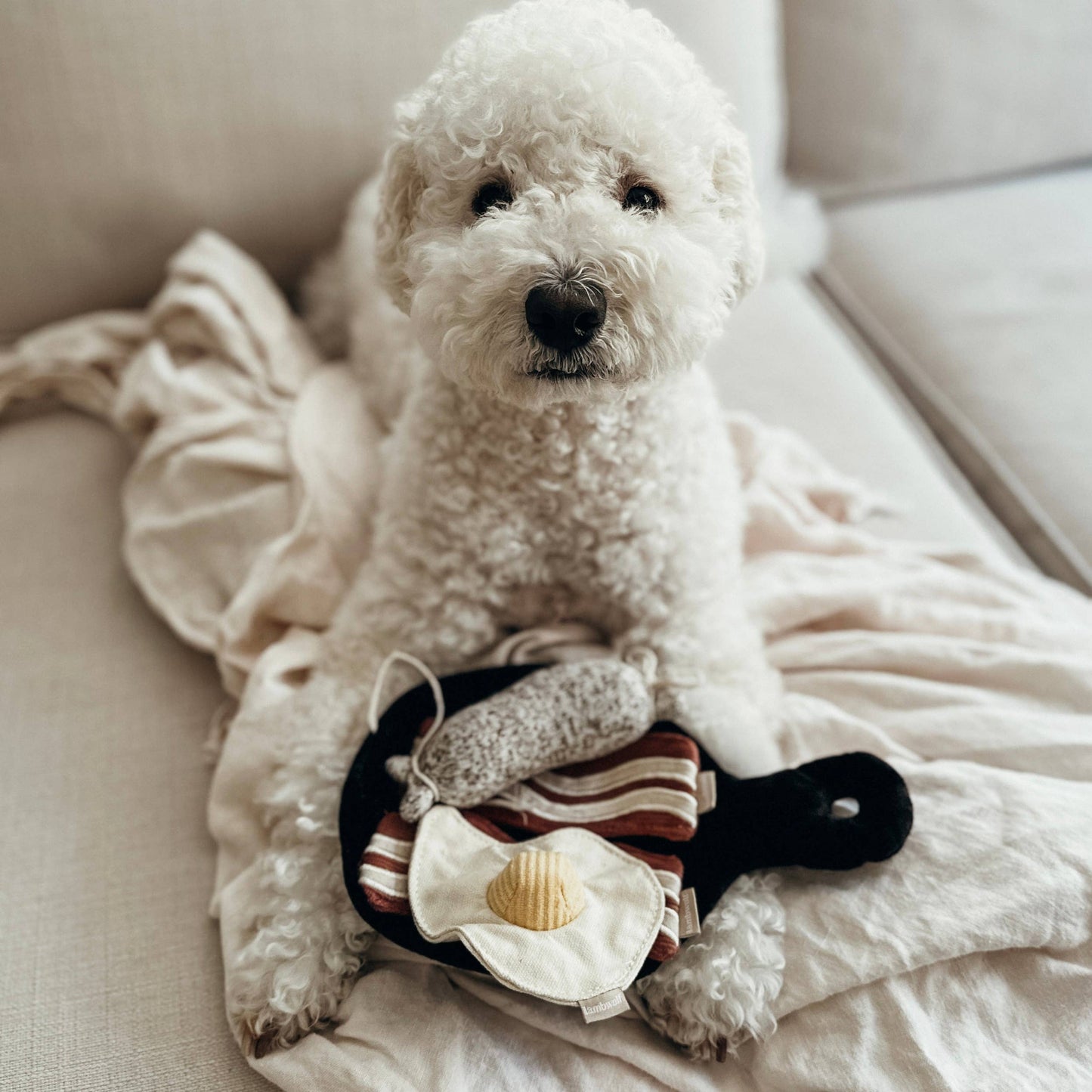 HereThe Bfast Set //Enrichment dog toy