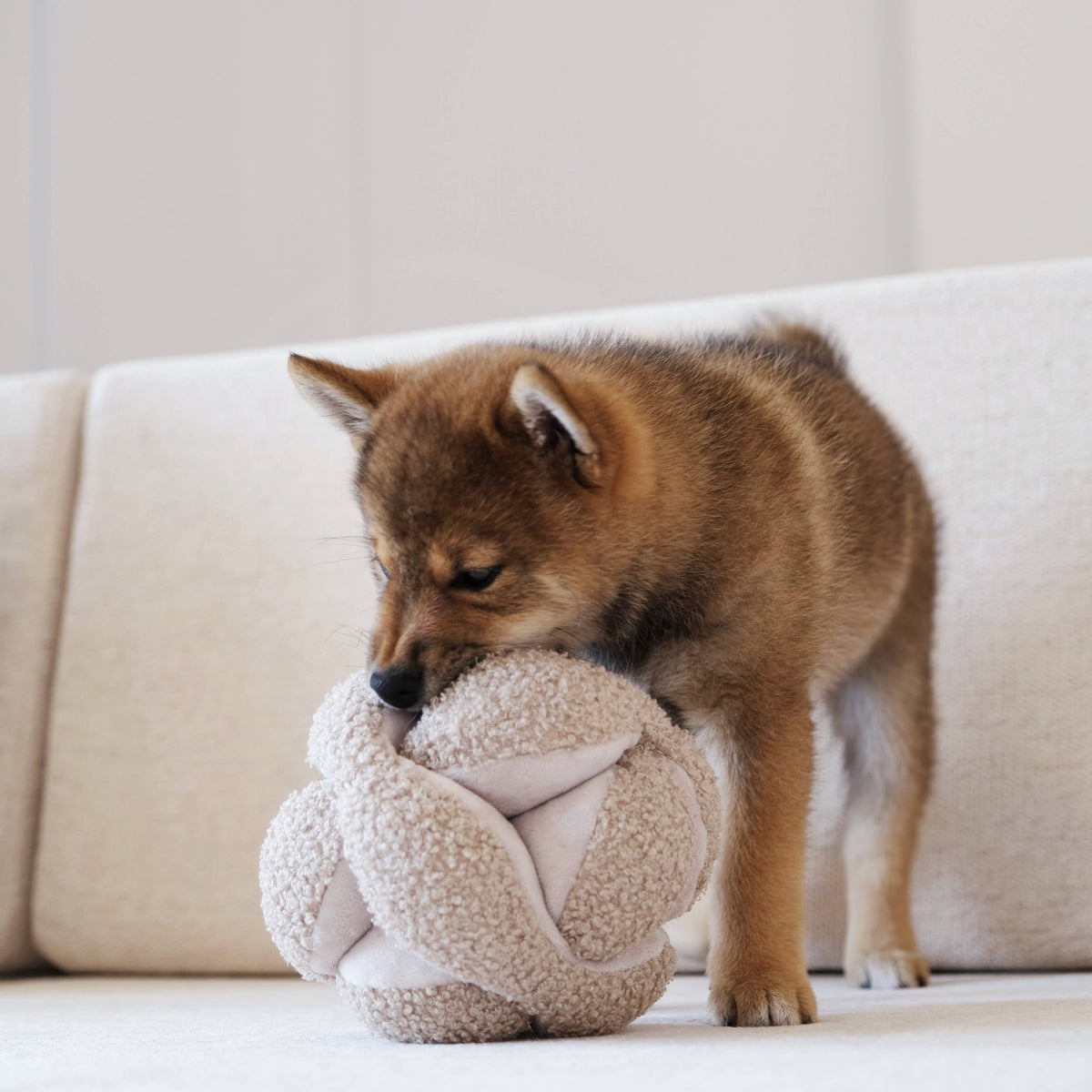 Lambwolf MONTI//Enrichment dog toy