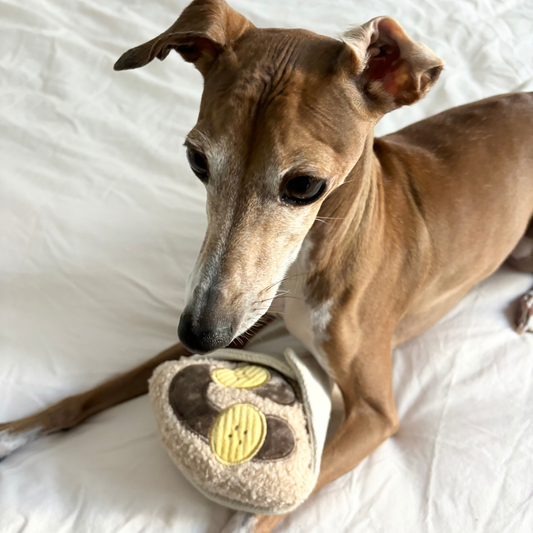 Gohobi x Lambwolf CREPE // ENRICHMENT DOG TOY