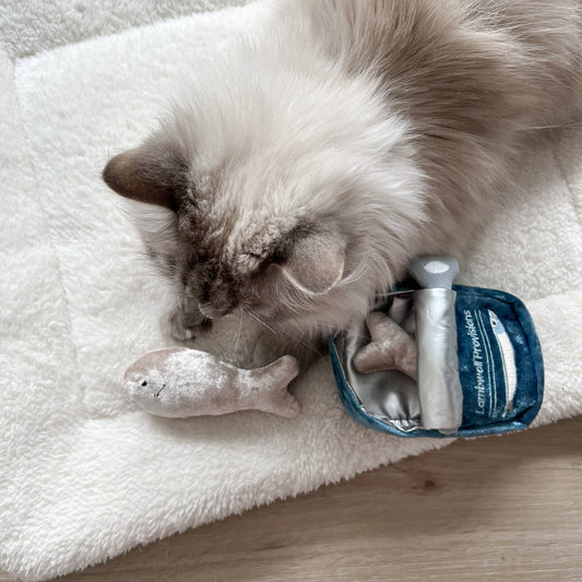 Gohobi x Lambwolf KITTY SARDINES