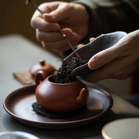 Cuillère à thé en céramique Gohobi Gongfu Tea en forme de carapace de tortue