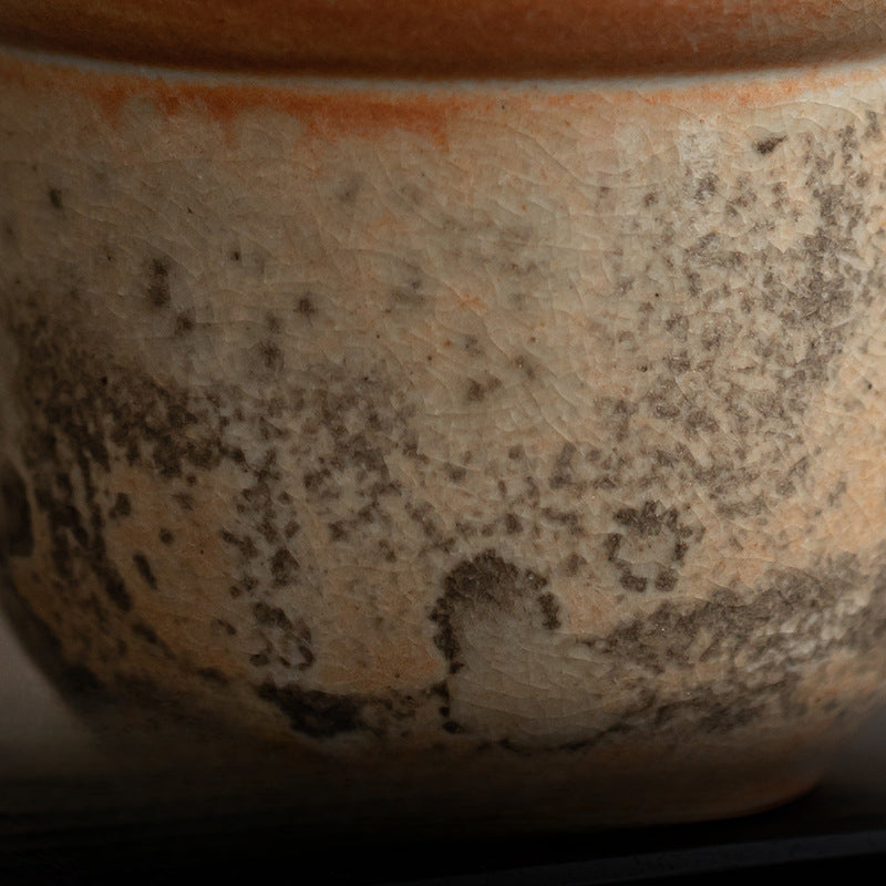 Gohobi Handmade Black Ink Hand-painted Cat Gaiwan 002 Hohin Teapot