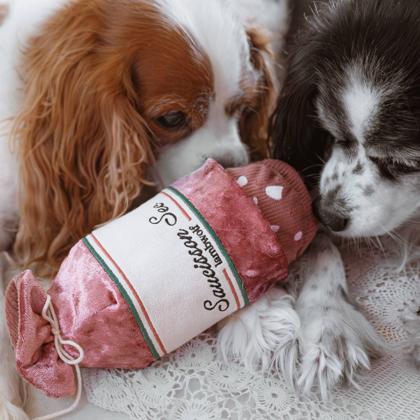 HereThe SAUCISSON SEC//Enrichment dog toy