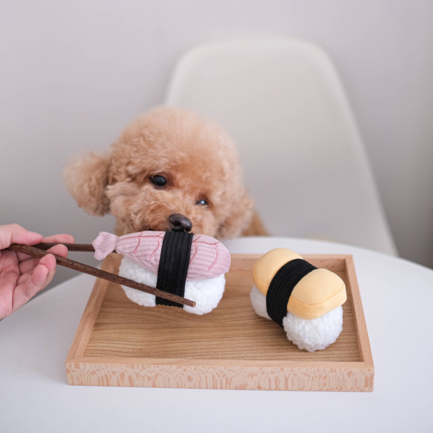 Gohobi x Lambwolf Collective SUSHI // Enrichment dog toy