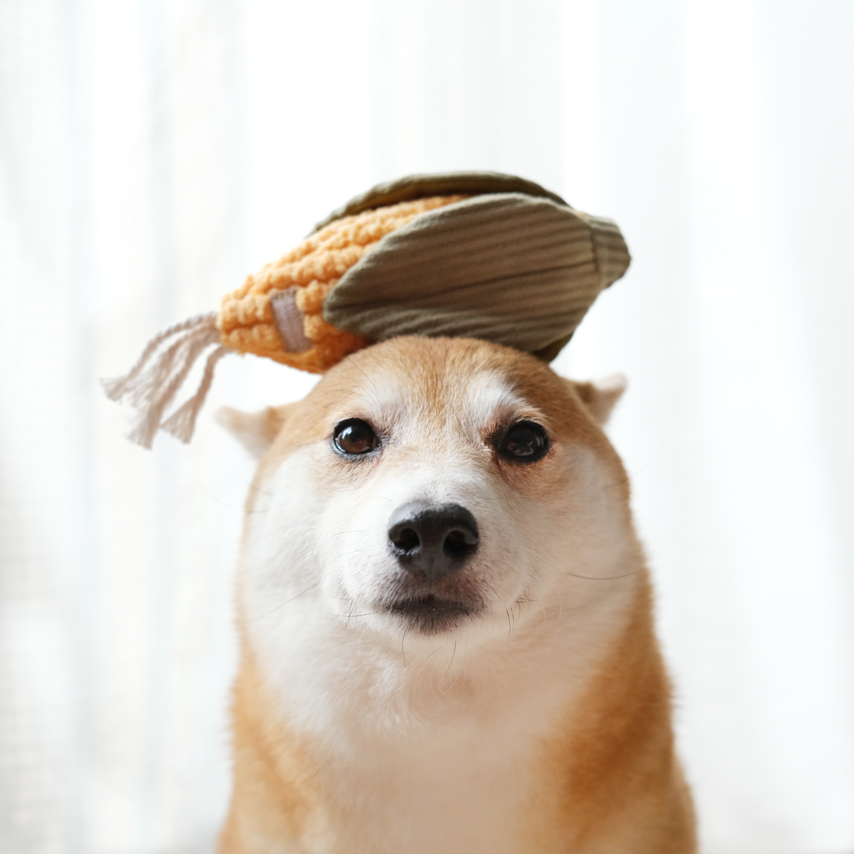 Lambwolf CORN + LEEK SET//ENRICHMENT DOG TOY