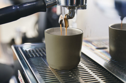 Gohobi x Kinto TO GO TUMBLER with plug 240ml/ 360ml