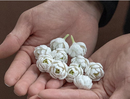 Gohobi A set of 3 handmade ceramic Arabian Jasmine Tea ornaments Tea pets Chinese Gongfu tea Kung fu tea Japanese Chado unique ornaments