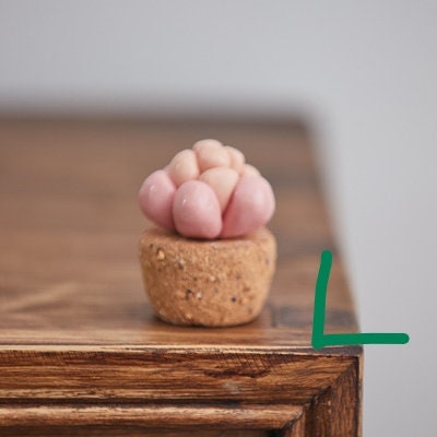 Gohobi Handmade cactus ceramic ornaments Japanese ornaments wedding birthday plant lover gift