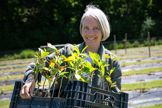 Episode 9: Pioneers of English grown tea