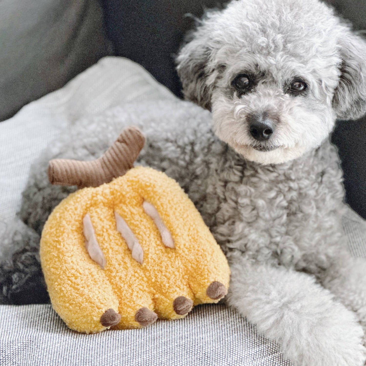Lambwolf Collective – Pet Companionship in Design