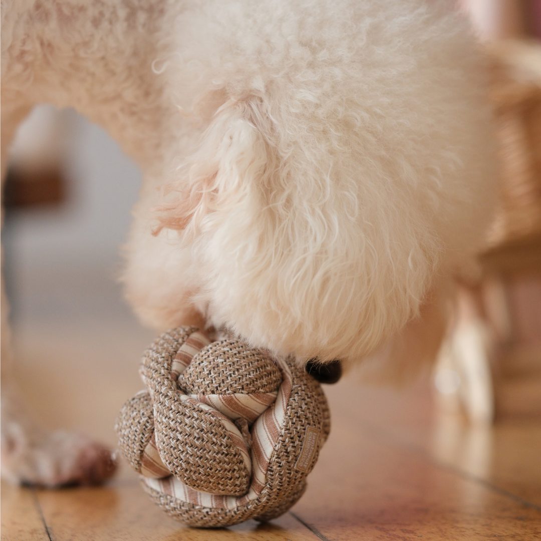 Lambwolf // MINI MONTI - ENRICHMENT DOG TOY