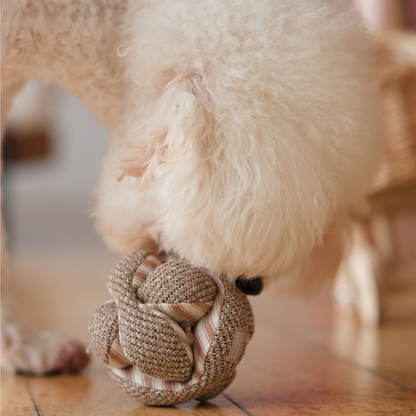Lambwolf // MINI MONTI - ENRICHMENT DOG TOY