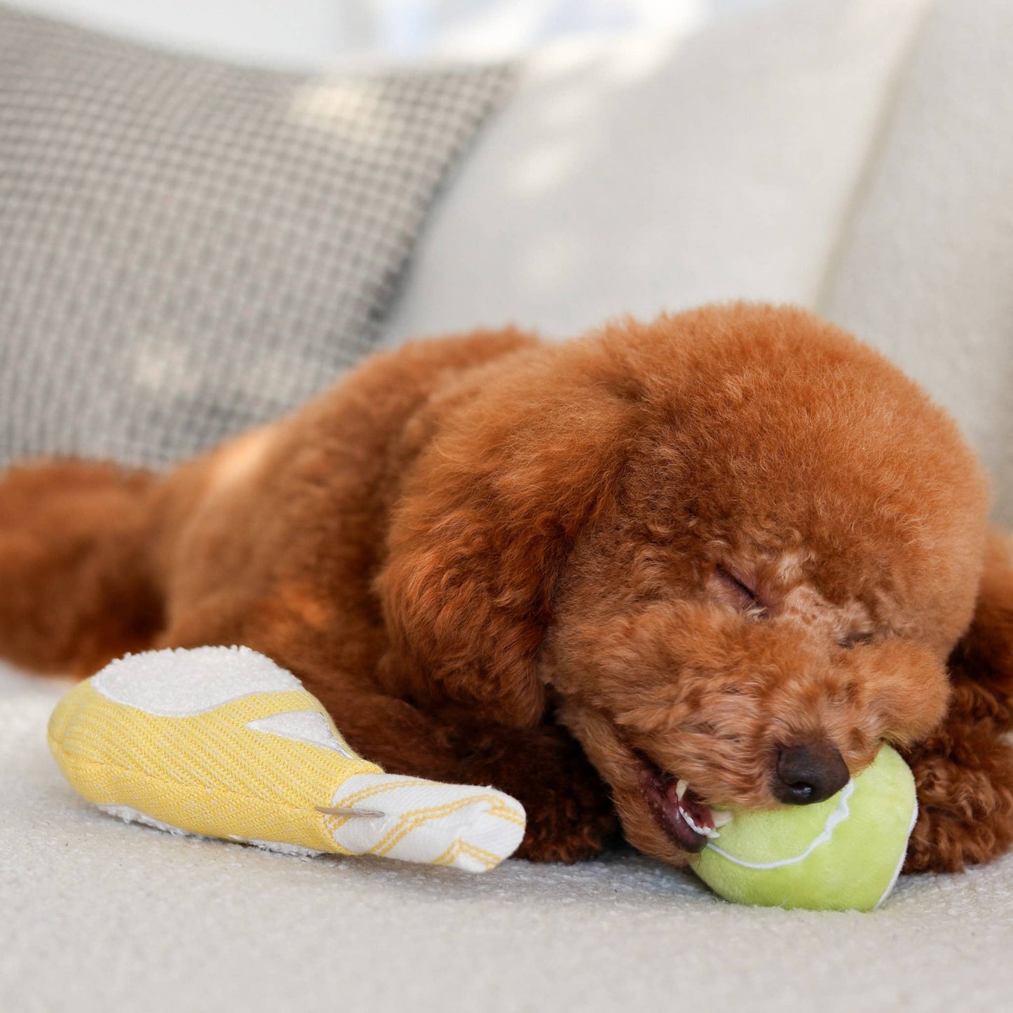 Gohobi x Lambwolf TENNIS POP//ENRICHMENT DOG TOY