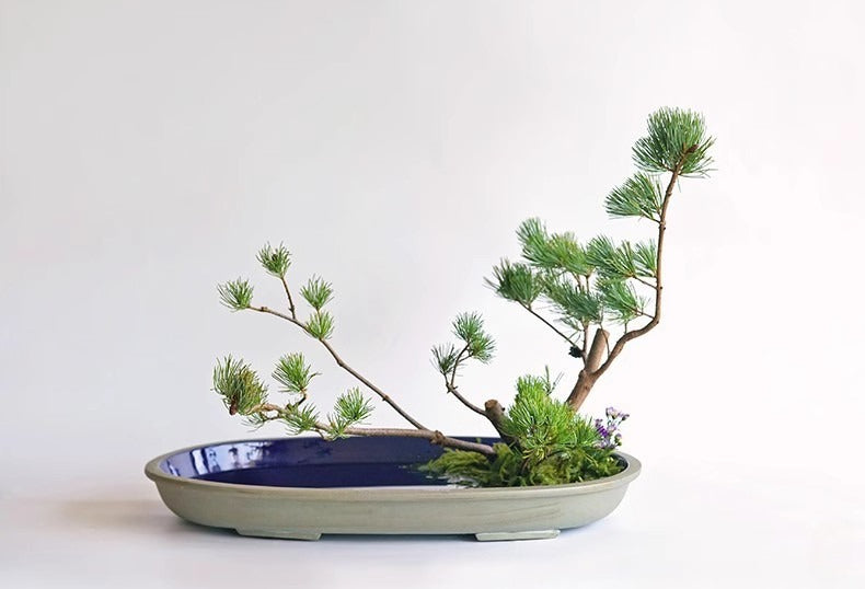 Gohobi Extra Large Oval Ikebana Bowl – Japanese Ceramic Flower Arrangement Vessel