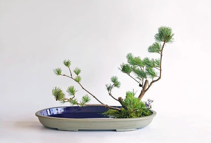 Gohobi Extra Large Oval Ikebana Bowl – Japanese Ceramic Flower Arrangement Vessel