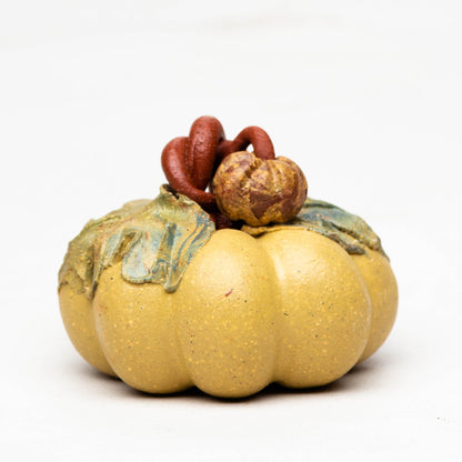 Gohobi Handmade Ceramic YiXing Clay Colourful Pumpkin Ornament Tea pet