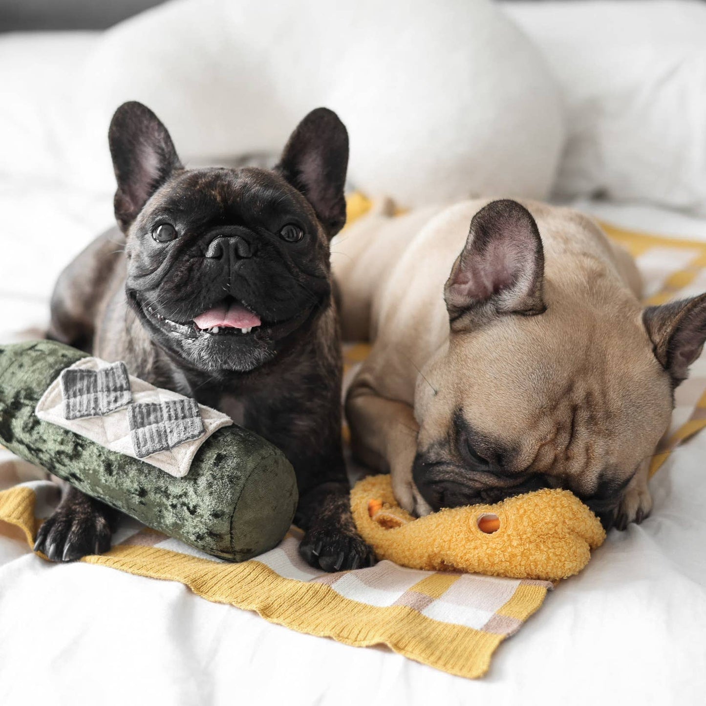 Gohobi x Lambwolf MERLOT//ENRICHMENT DOG TOY