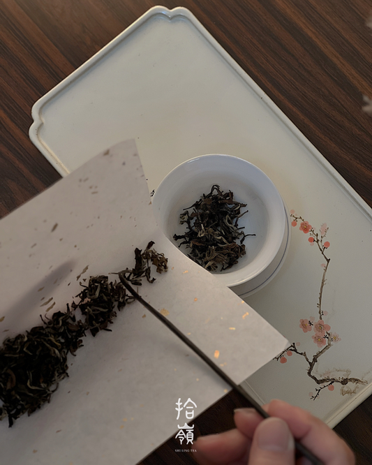 [拾嶺 x Gohobi] Oriental Beauty Oolong Tea 東方美人茶｜青心大冇