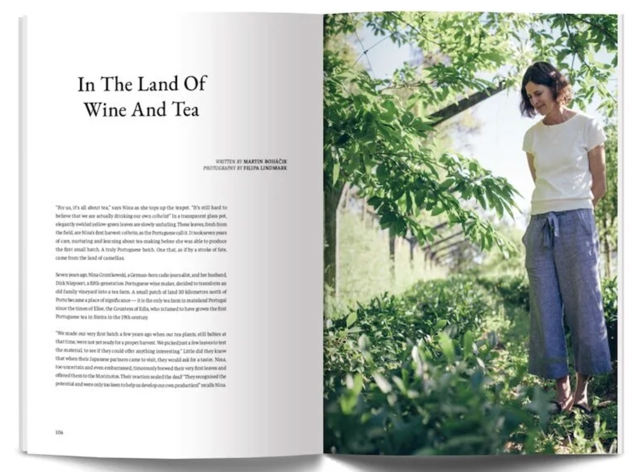 Eightyº - Eighty Degrees Tea Magazine Issue 02: Japanese Tea Traditions, Climate & Culture