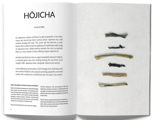 Eightyº - Eighty Degrees Tea Magazine Issue 13:  Community. History. Mysticism.