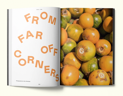FARE magazine Issue 08: Lima
