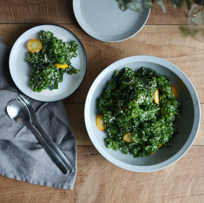 Gohobi x Kinto RIM plate