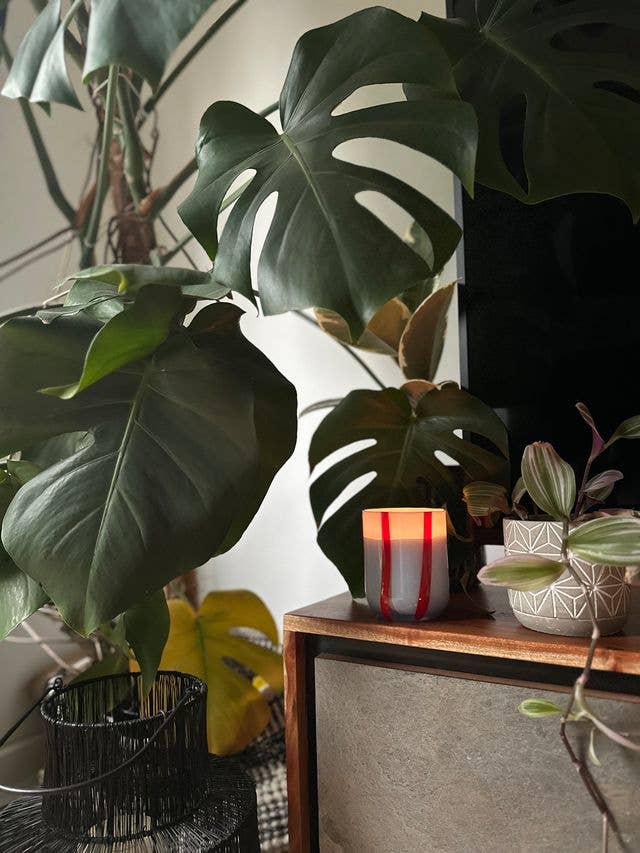 Gohobi x MÆGEN Atina Candle - Tomato & Mint Leaf [Made in the UK]