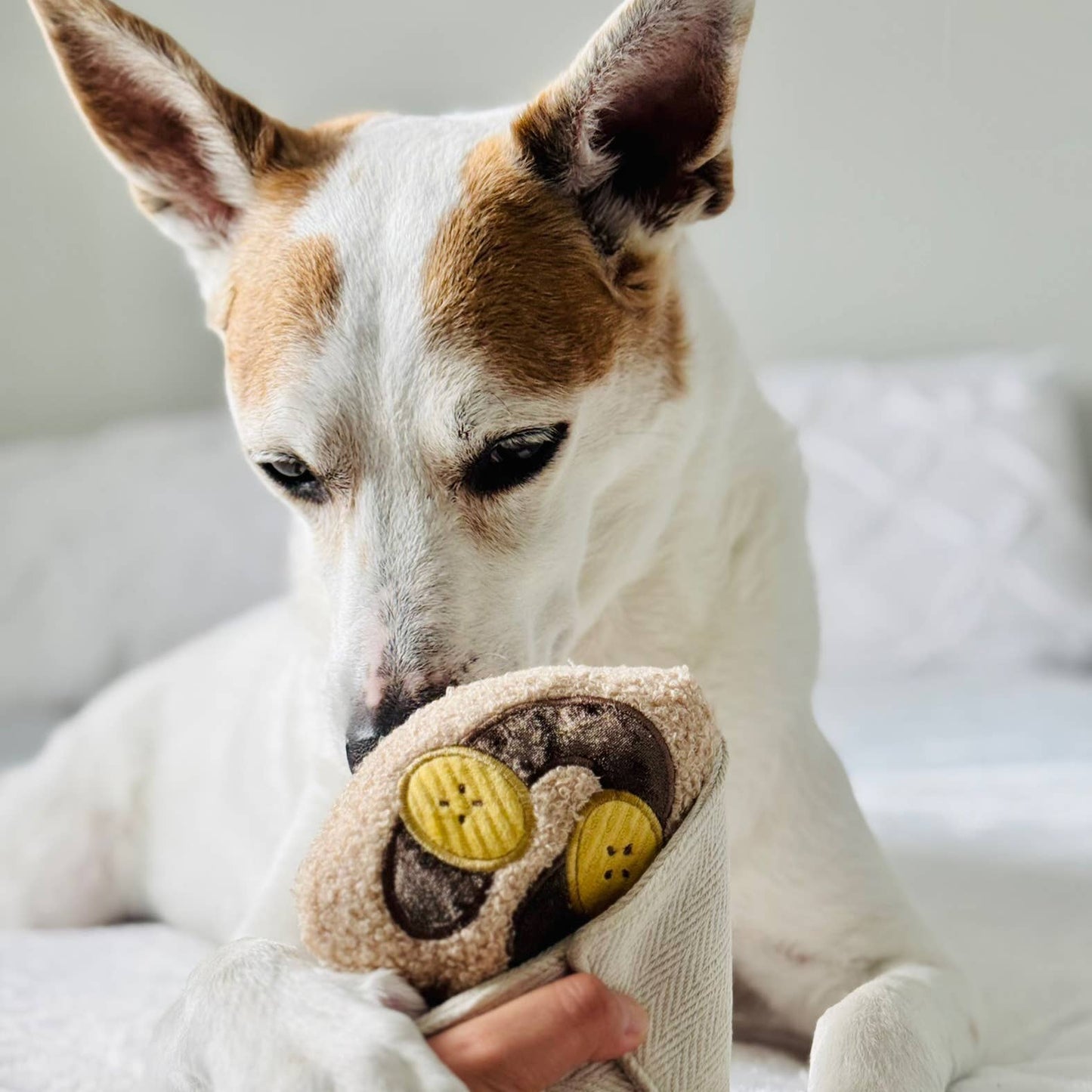 Gohobi x Lambwolf CREPE // ENRICHMENT DOG TOY