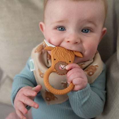 HereThe Highland Cow print bib