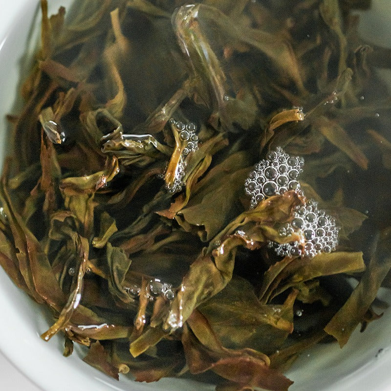 Gohobi Limited Edition Founder's Selection - Phoenix Dan Chong Oolong Tea 精選鳳凰單叢茶