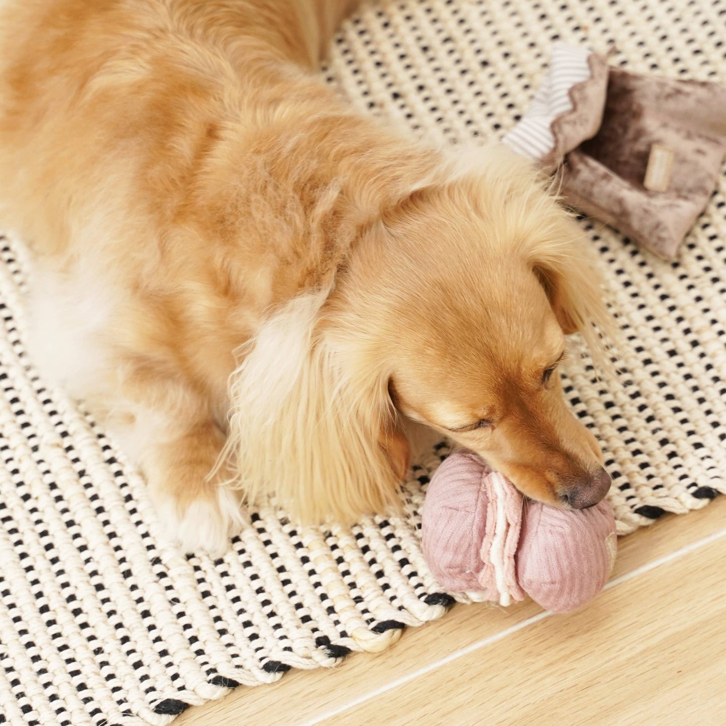 Gohobi x Lambwolf PETITE TWO/ENRICHMENT DOG TOY