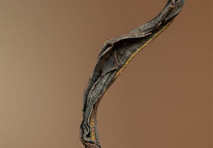 Gohobi Limited Edition Founder's Selection - Phoenix Dan Chong Oolong Tea 精選鳳凰單叢茶