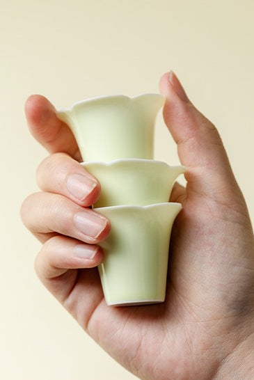 Gohobi Zisha Teapot Travel Tea Set 004