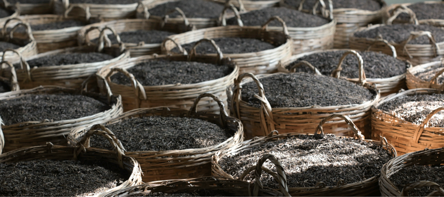 Gohobi Limited Edition Founder's Selection - Liu Bao Tea 廣西梧州精選六堡茶