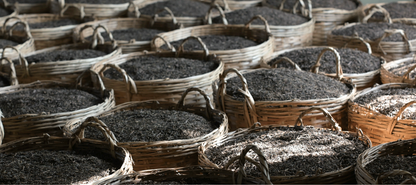 Gohobi Limited Edition Founder's Selection - Liu Bao Tea 廣西梧州精選六堡茶