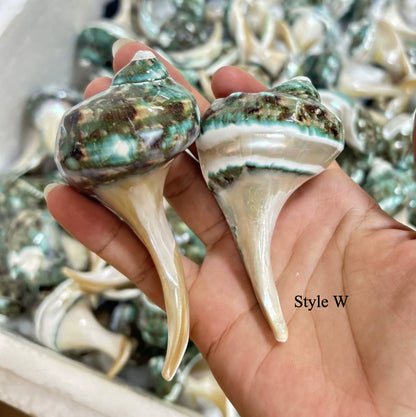 Gohobi Shell Chopstick Rest