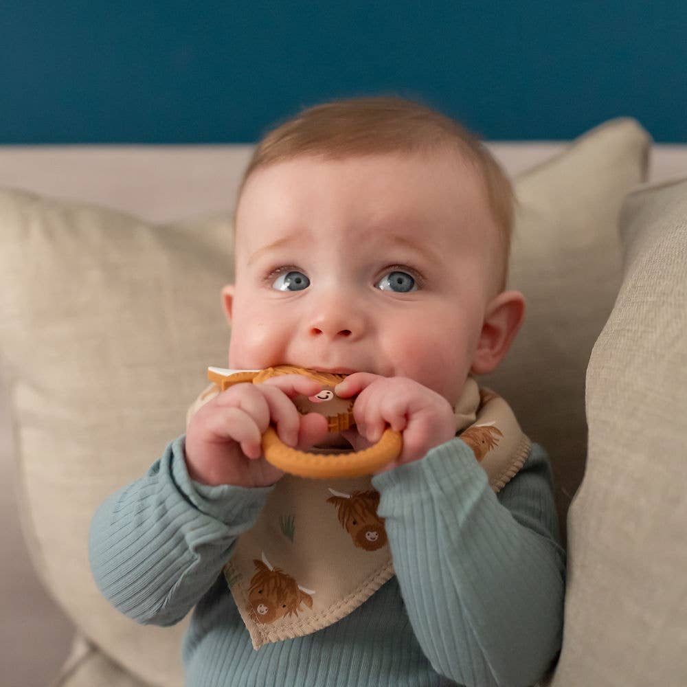 HereThe Highland Cow print bib