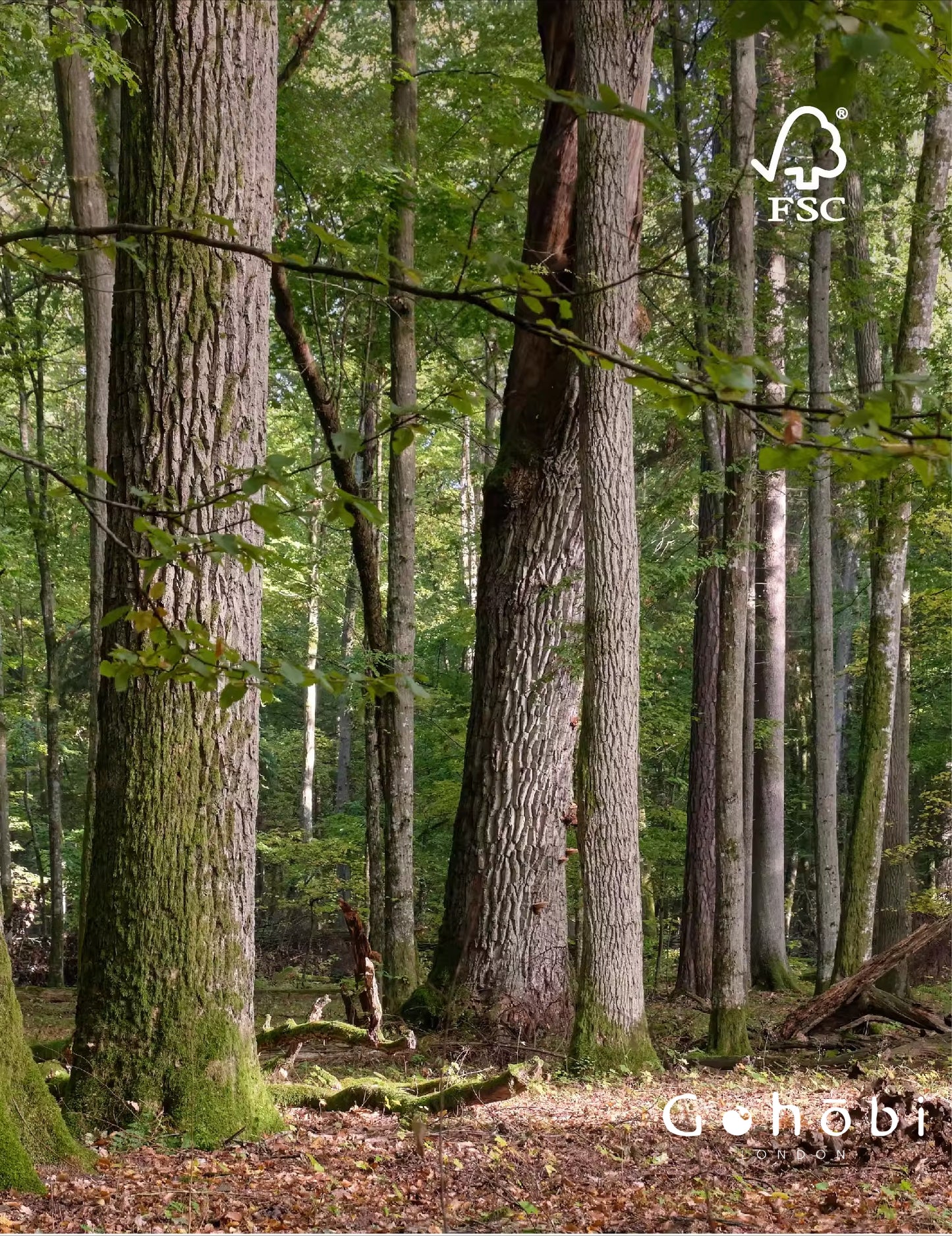 Gohobi Handmade Solid Wood Coffee Table – Japanese Modern Minimalist Tea Table for Living Room | FSC Certified Furniture