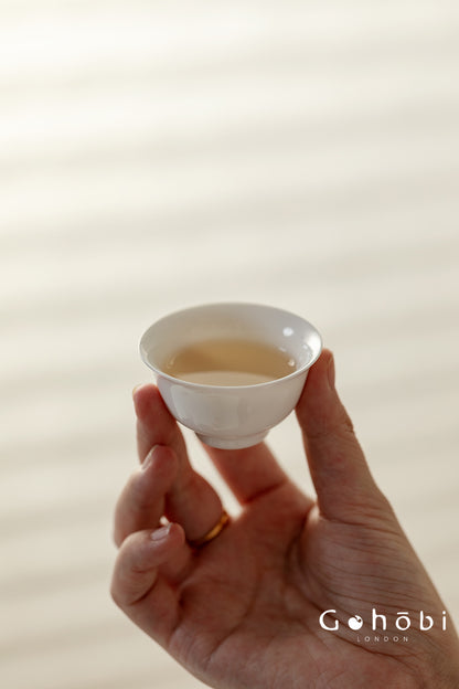 Gohobi Gallery Collection – Portable Gongfu Travel Tea Set with Leather Case