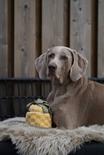 Gohobi x Lambwolf PINEAPPLE//ENRICHMENT DOG TOY