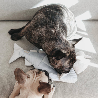 Gohobi x Lambwolf TROUT//ENRICHMENT DOG TOY