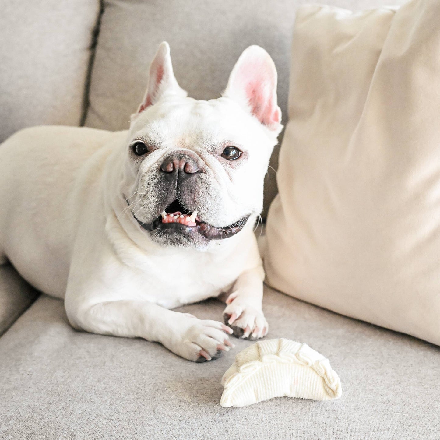 Gohobi x Lambwolf DIM SUM POP // Enrichment dog toy