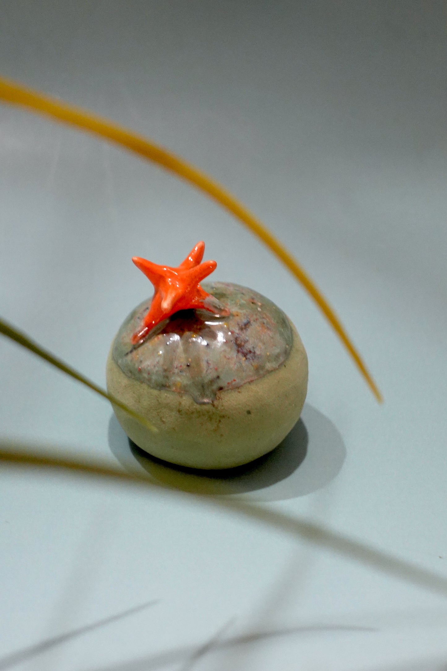 [Limited] Edition 01 Garden of Senses Tea Box