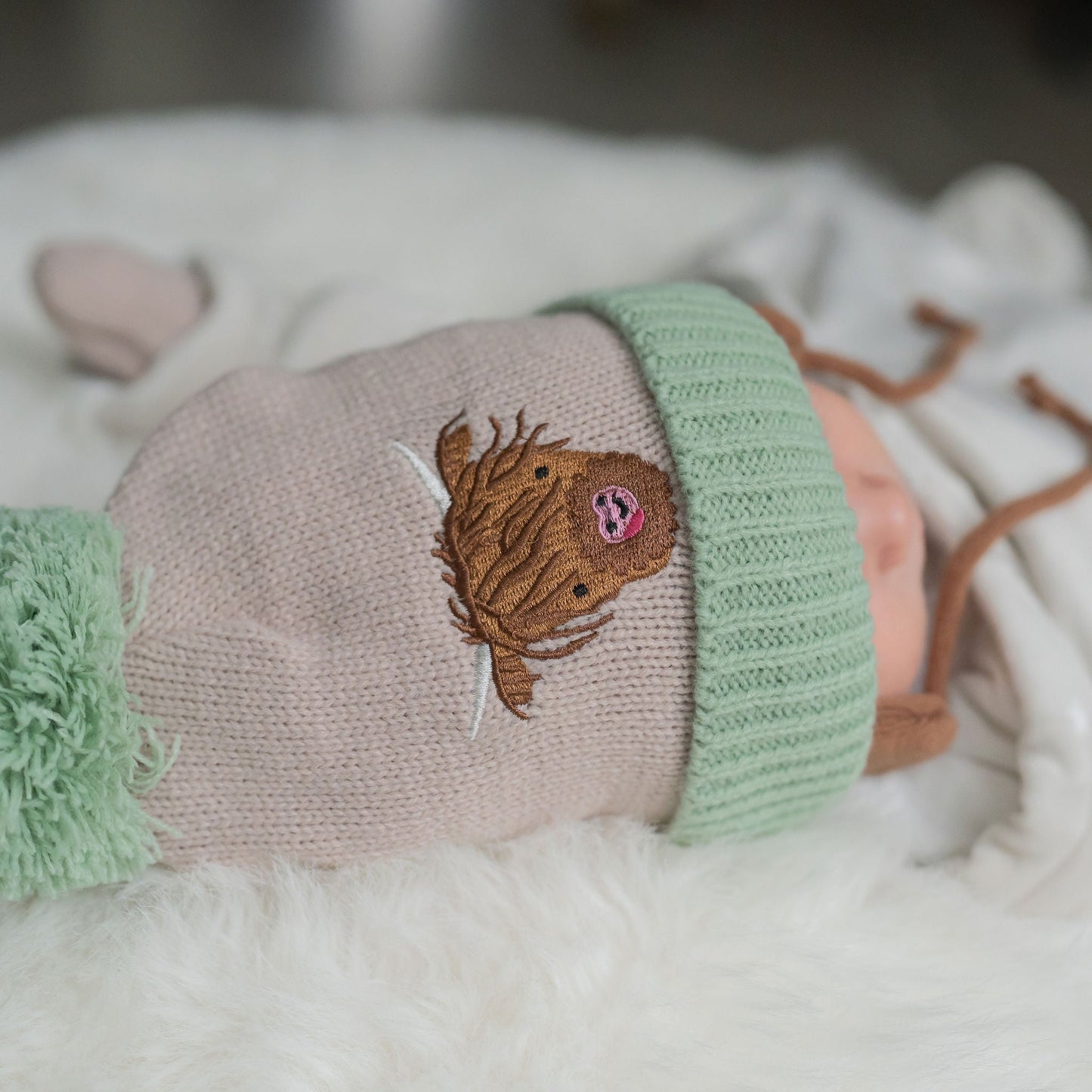 HereThe Highland Cow Wooly Hat and Mittens