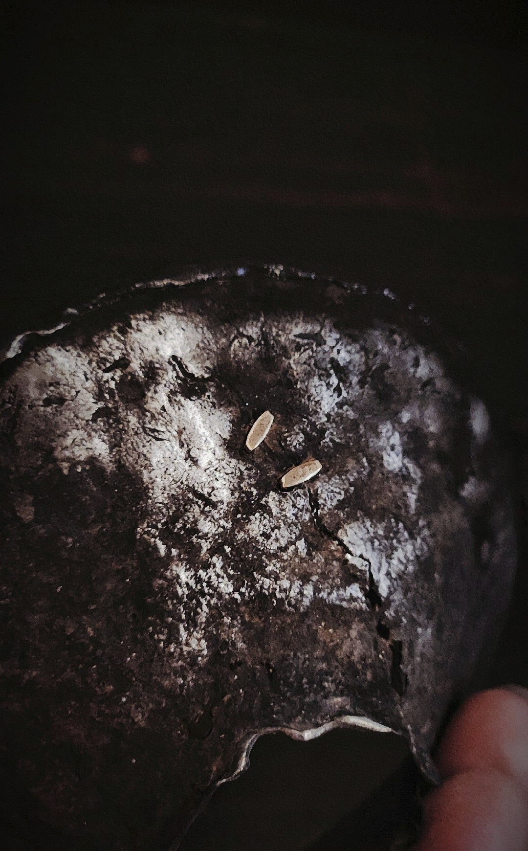 [Gohobi Gallery] Handmade Tea Funnel Tinware